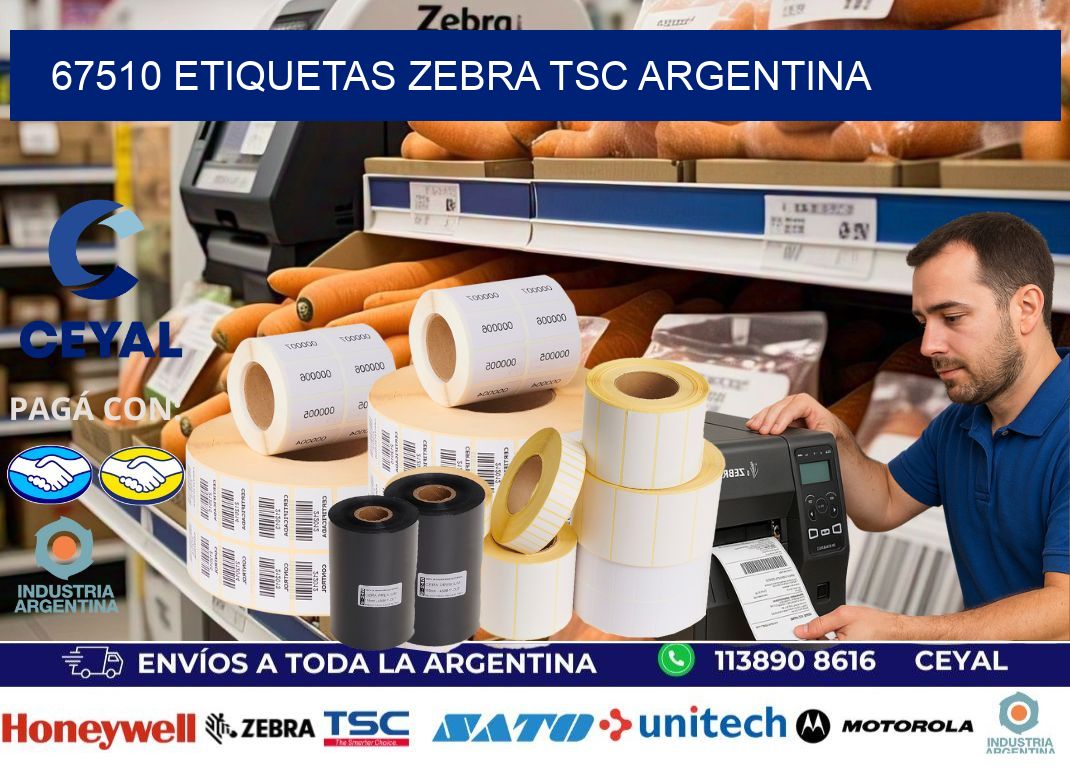 67510 etiquetas zebra tsc argentina