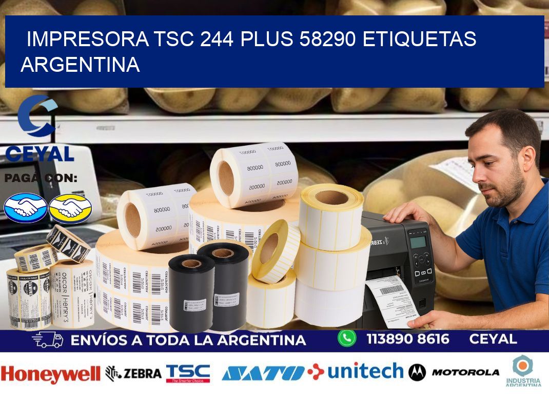 Impresora tsc 244 plus 58290 etiquetas argentina
