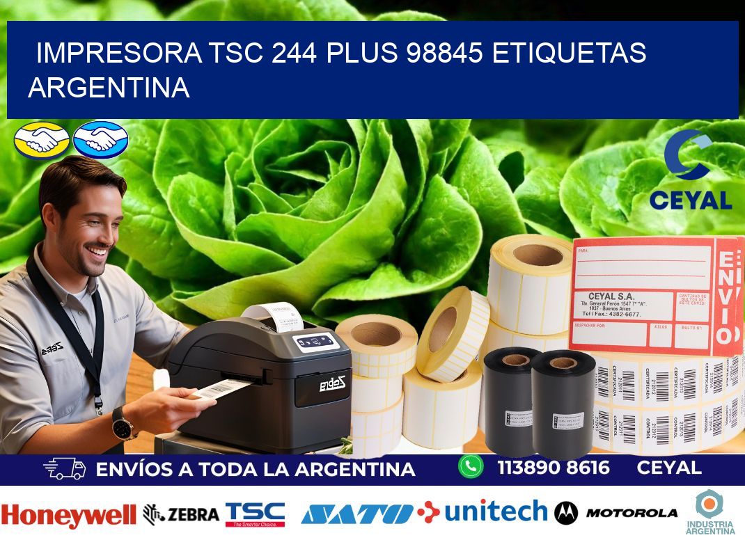 Impresora tsc 244 plus 98845 etiquetas argentina