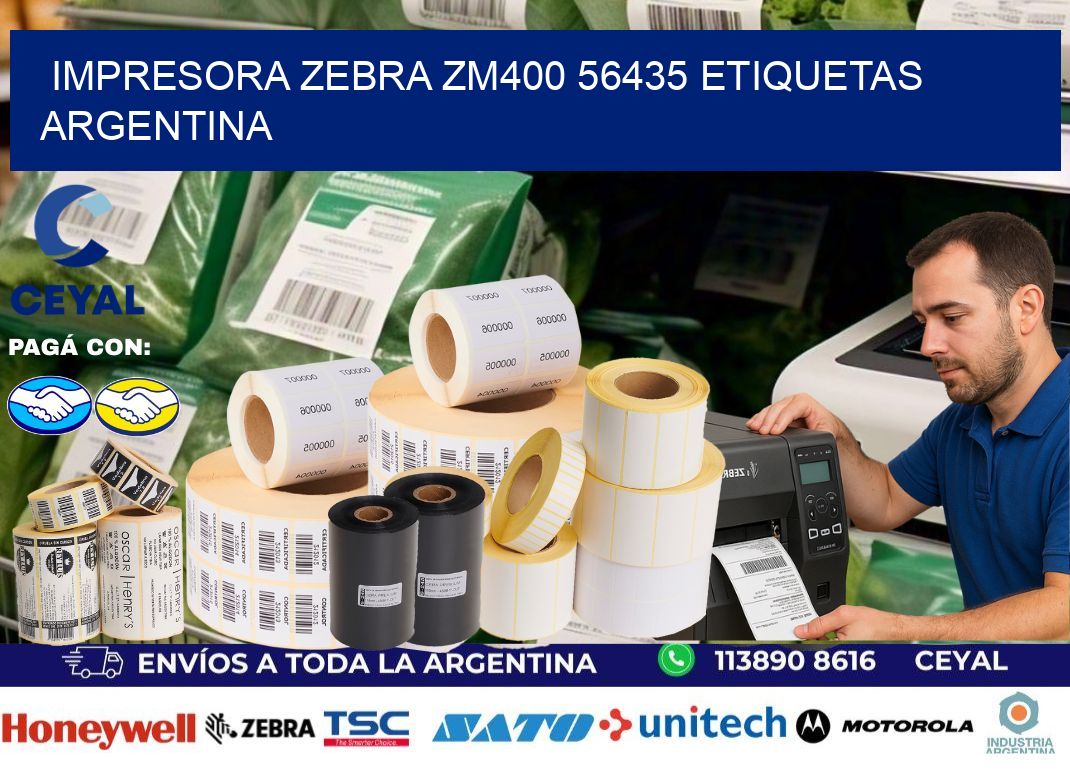 Impresora zebra zm400 56435 etiquetas argentina