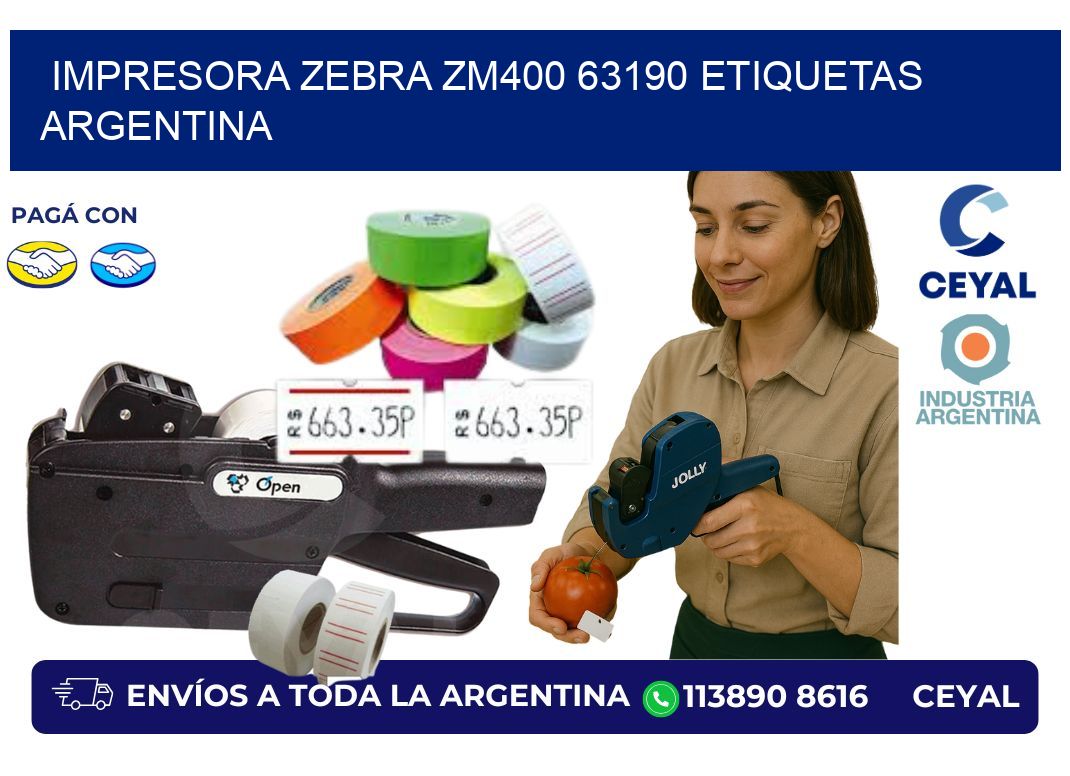Impresora zebra zm400 63190 etiquetas argentina