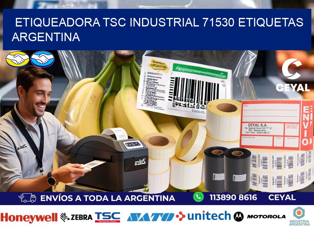etiqueadora tsc industrial 71530 etiquetas argentina