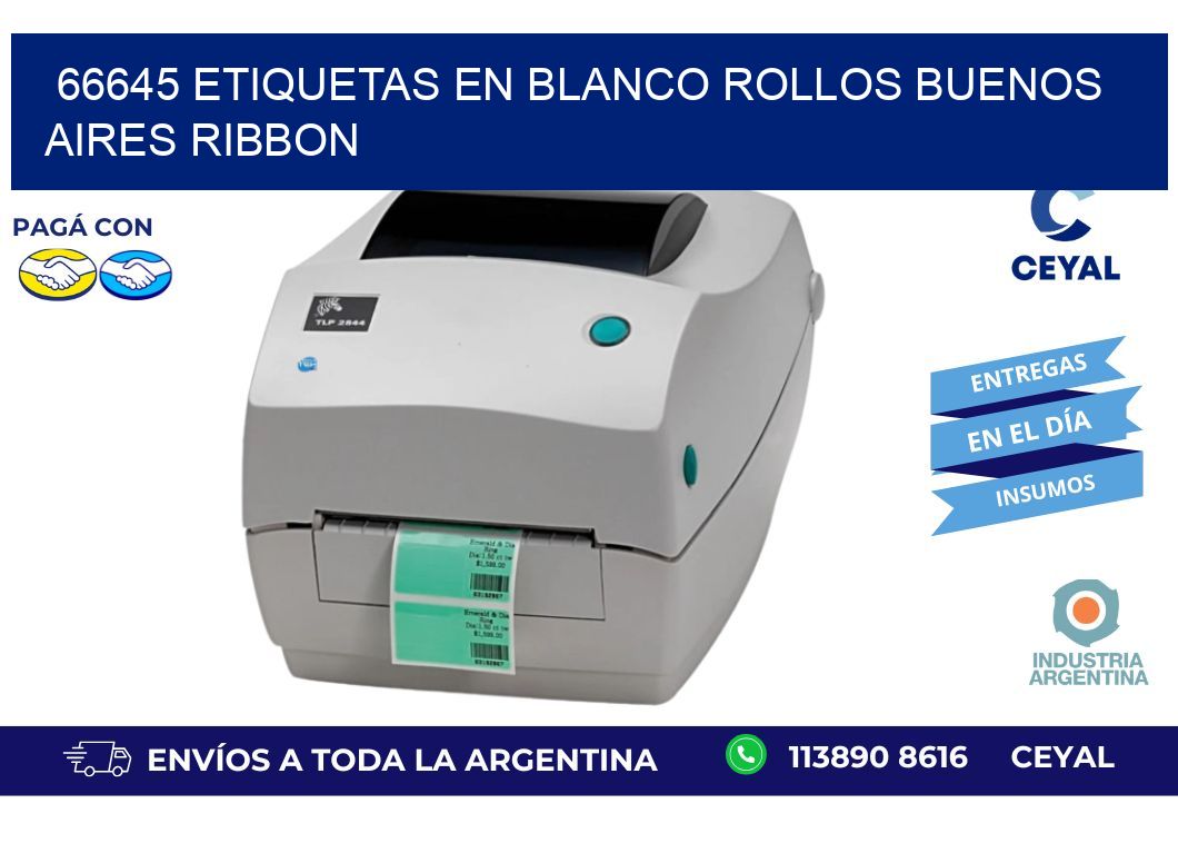 66645 ETIQUETAS EN BLANCO ROLLOS BUENOS AIRES RIBBON