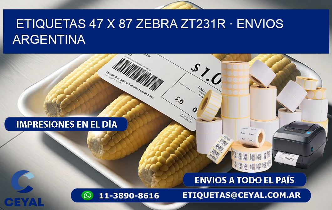 ETIQUETAS 47 x 87 ZEBRA ZT231R · ENVIOS ARGENTINA