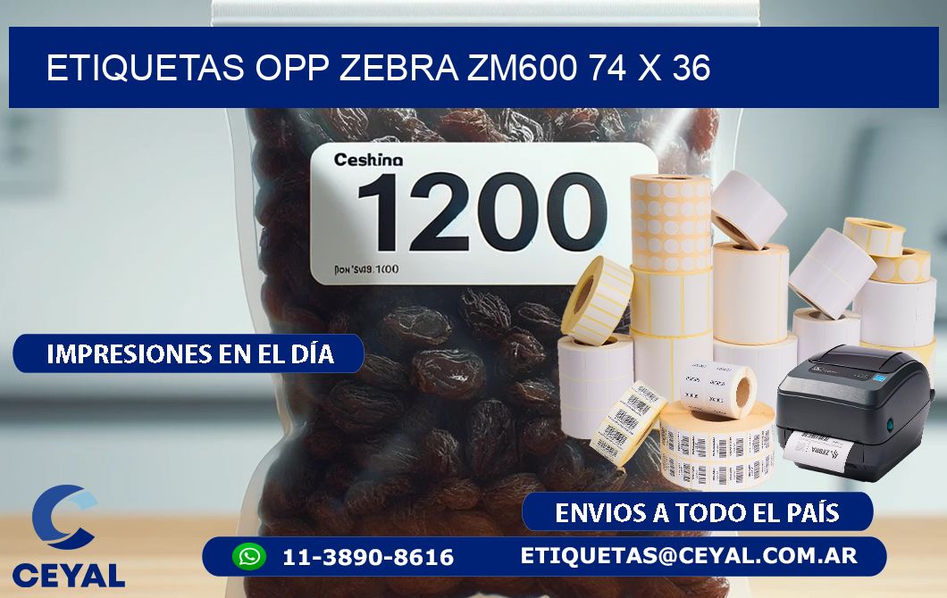 ETIQUETAS OPP ZEBRA ZM600 74 x 36