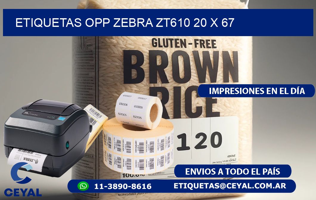 ETIQUETAS OPP ZEBRA ZT610 20 x 67