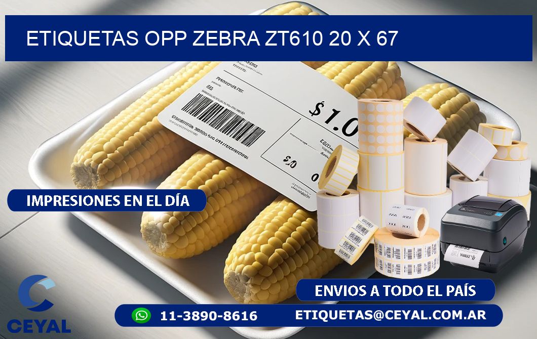 ETIQUETAS OPP ZEBRA ZT610 20 x 67
