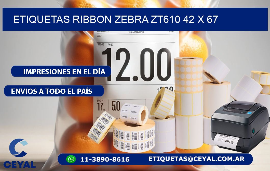 ETIQUETAS RIBBON Zebra ZT610 42 x 67
