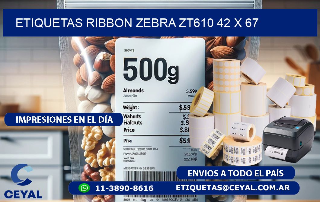 ETIQUETAS RIBBON Zebra ZT610 42 x 67
