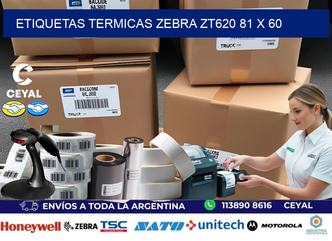 ETIQUETAS TERMICAS ZEBRA ZT620 81 x 60