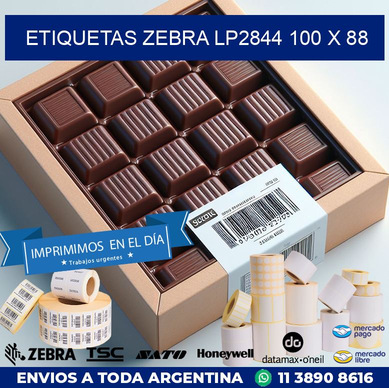 ETIQUETAS Zebra LP2844 100 x 88