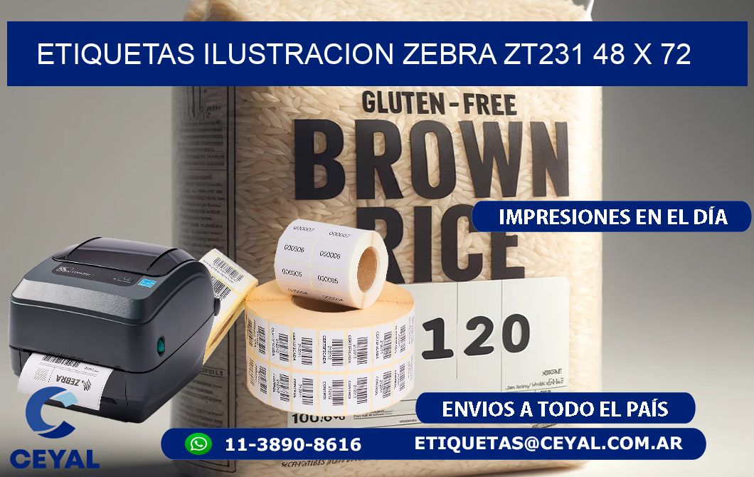ETIQUETAS ILUSTRACION ZEBRA ZT231 48 x 72