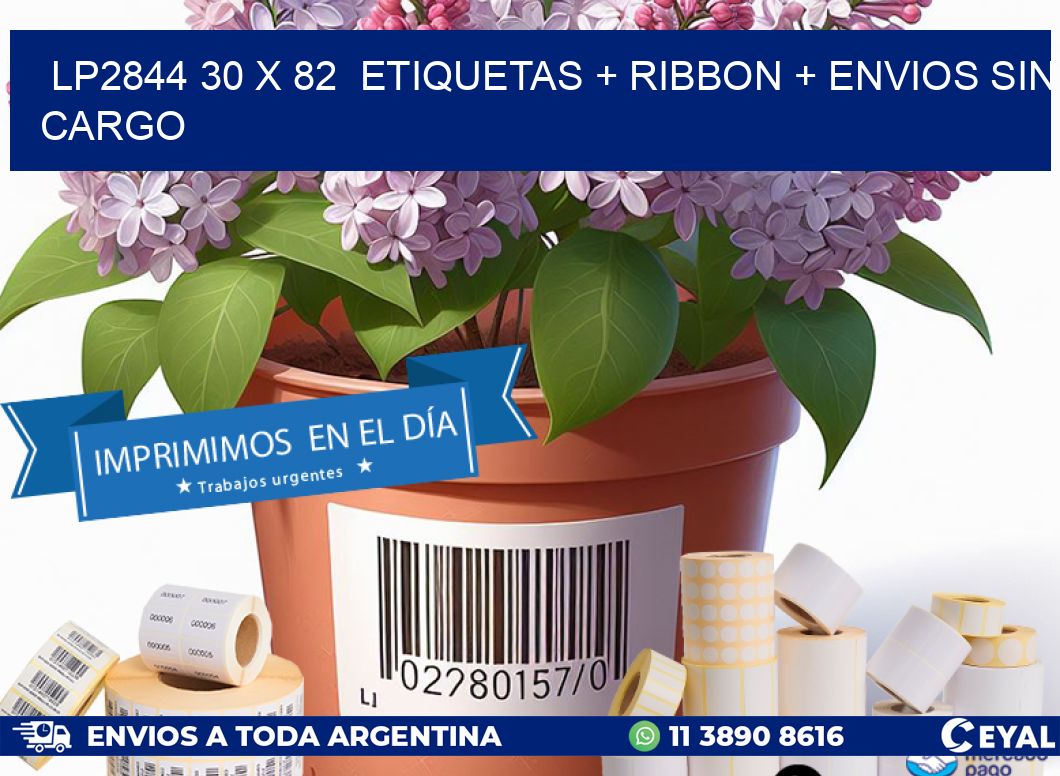 LP2844 30 x 82  etiquetas + ribbon + envios sin cargo
