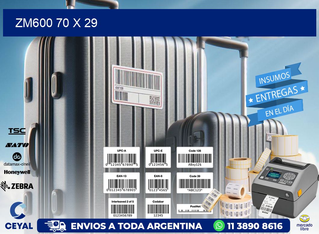 ZM600 70 x 29