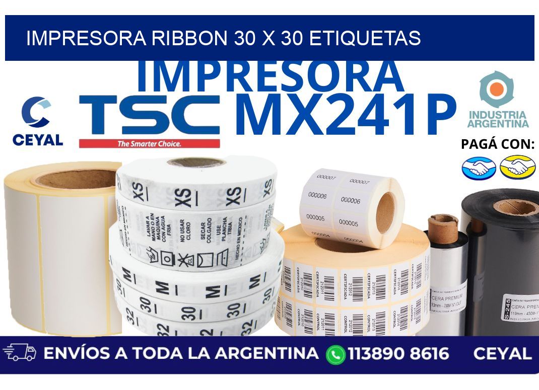 impresora ribbon 30 x 30 etiquetas
