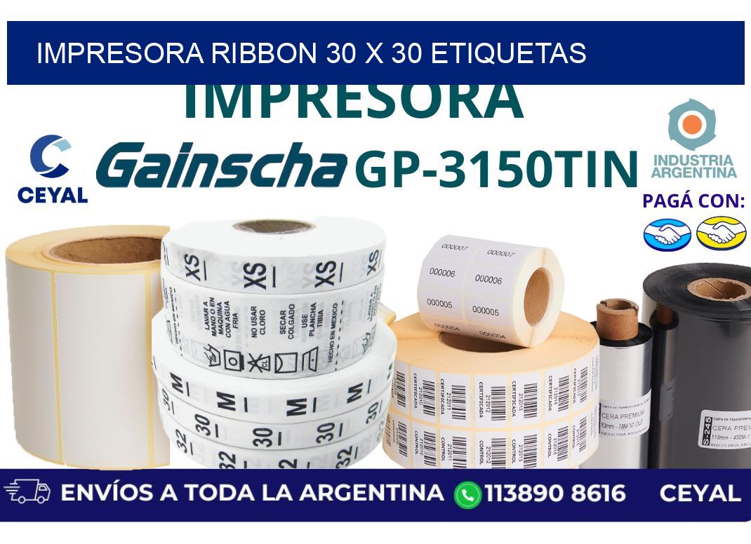 impresora ribbon 30 x 30 etiquetas