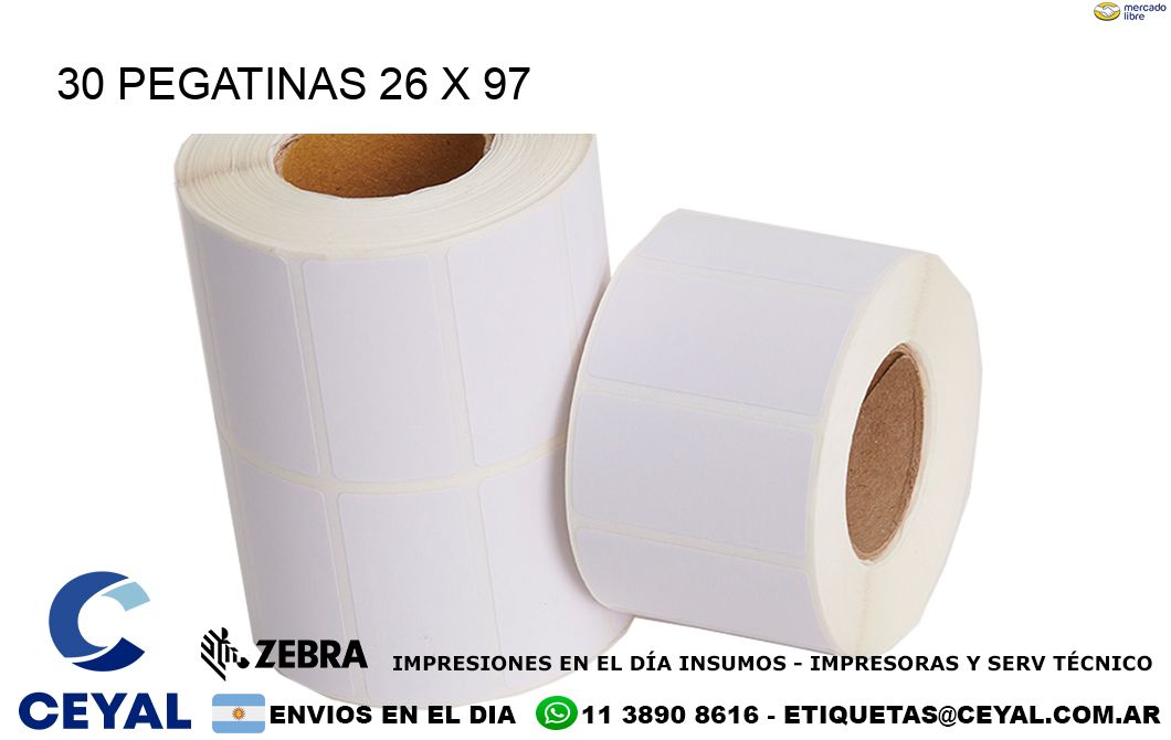 30 PEGATINAS 26 x 97