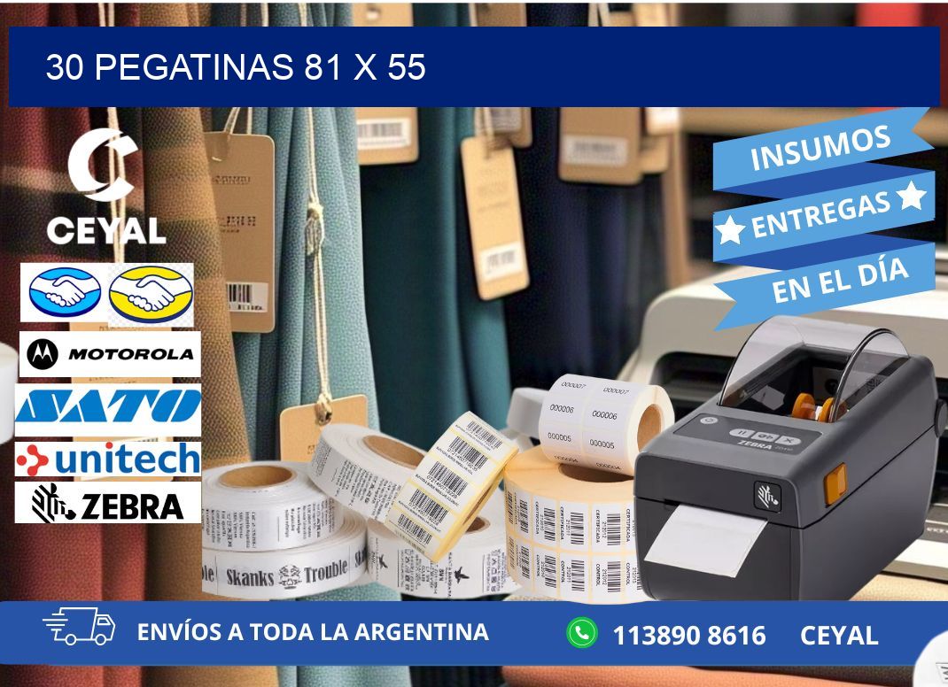 30 PEGATINAS 81 x 55