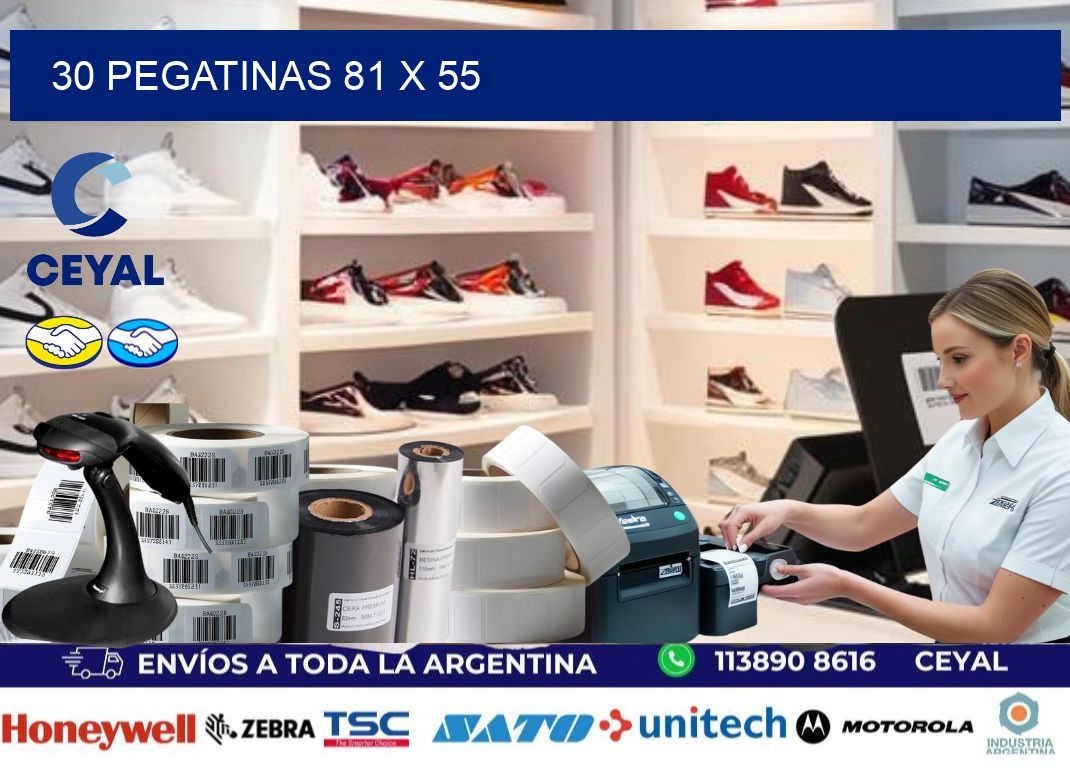 30 PEGATINAS 81 x 55