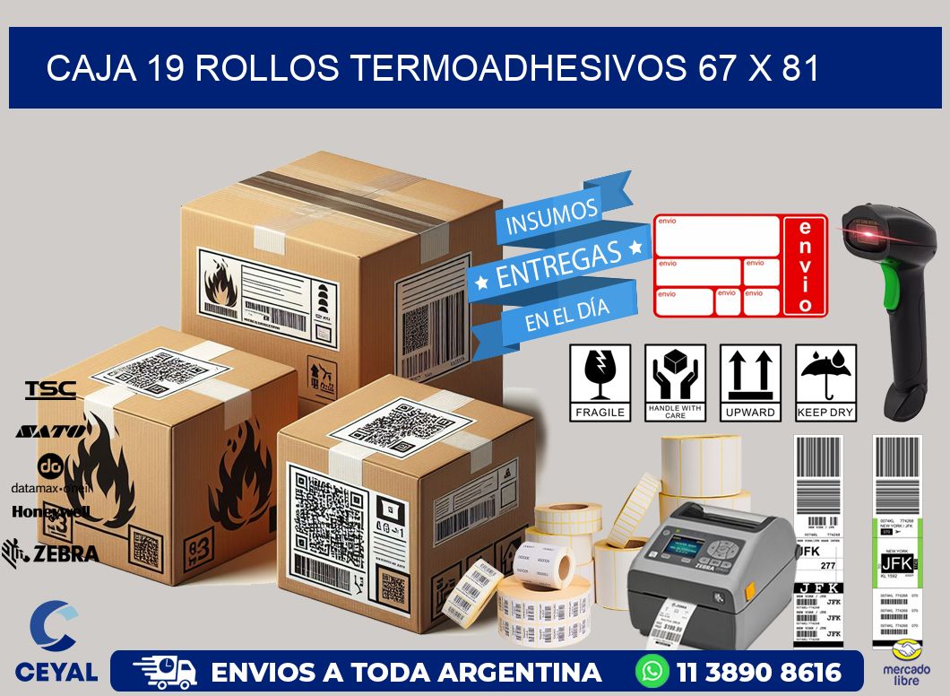 CAJA 19 ROLLOS TERMOADHESIVOS 67 x 81