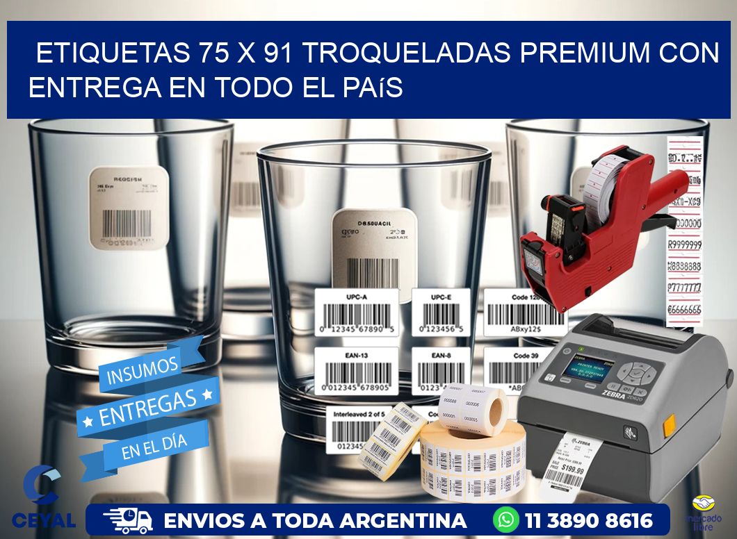 Etiquetas 75 x 91 troqueladas premium con entrega en todo el país