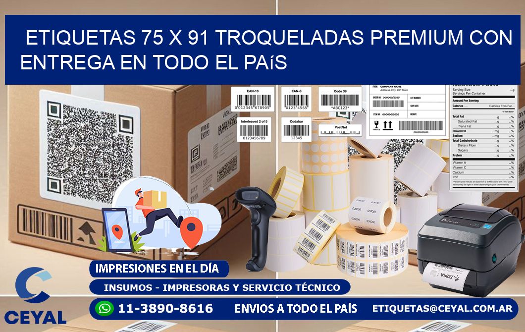 Etiquetas 75 x 91 troqueladas premium con entrega en todo el país
