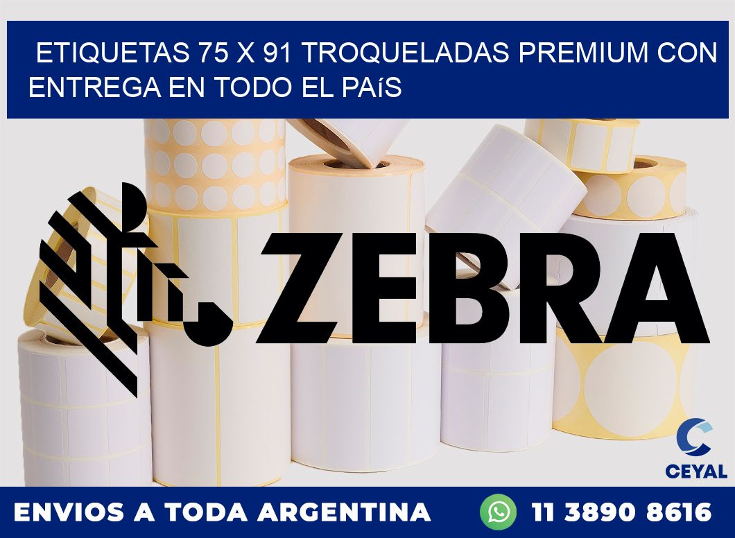Etiquetas 75 x 91 troqueladas premium con entrega en todo el país