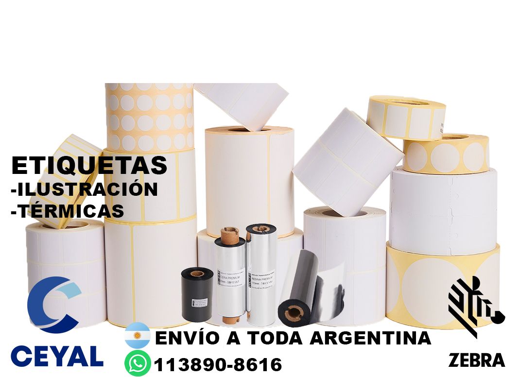 17005 Impresora de etiquetas autoadhesivas industrial