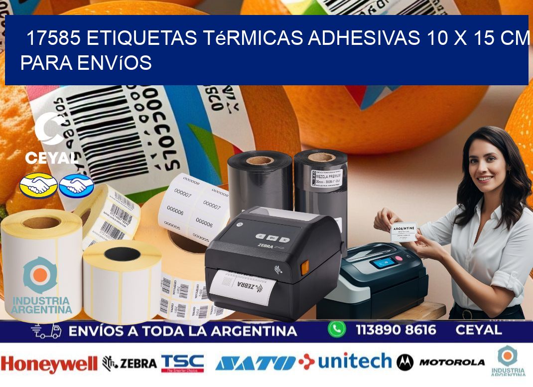 17585 Etiquetas Térmicas Adhesivas 10 x 15 cm para Envíos