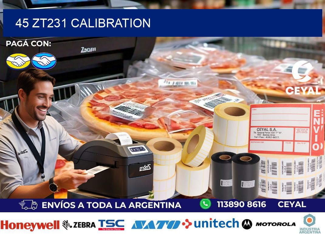 45 ZT231 Calibration