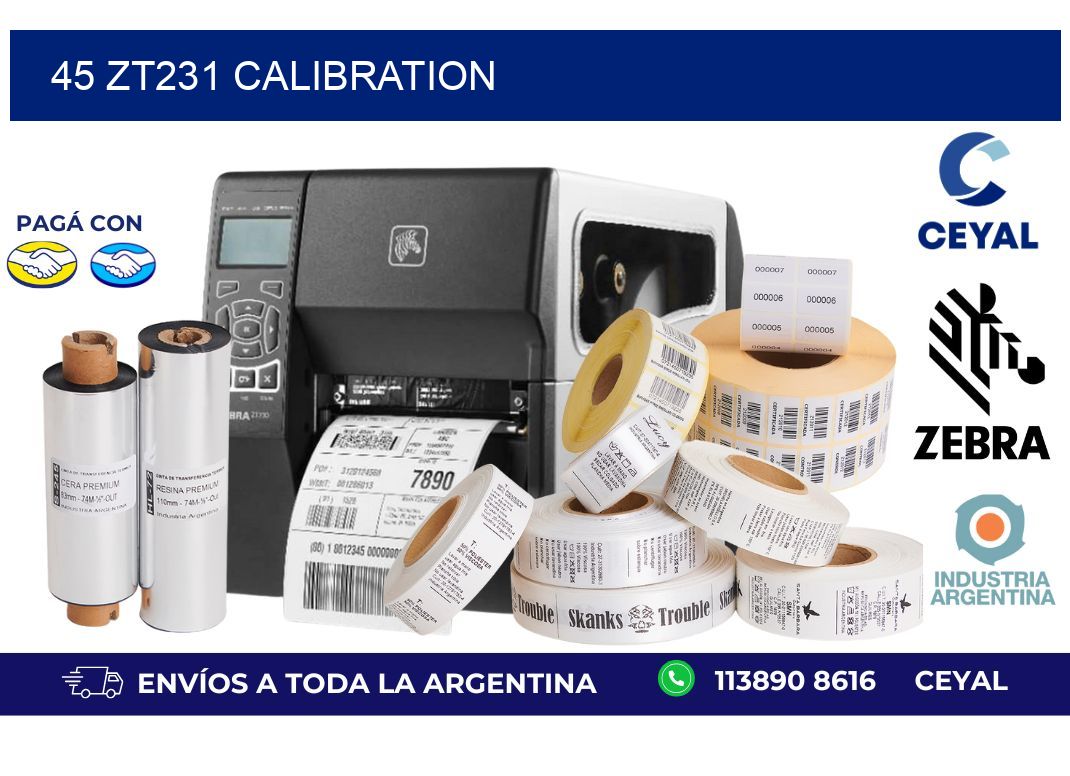 45 ZT231 Calibration