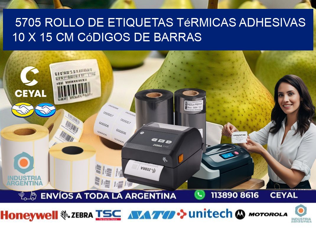 5705 Rollo de Etiquetas Térmicas Adhesivas 10 x 15 cm Códigos de Barras