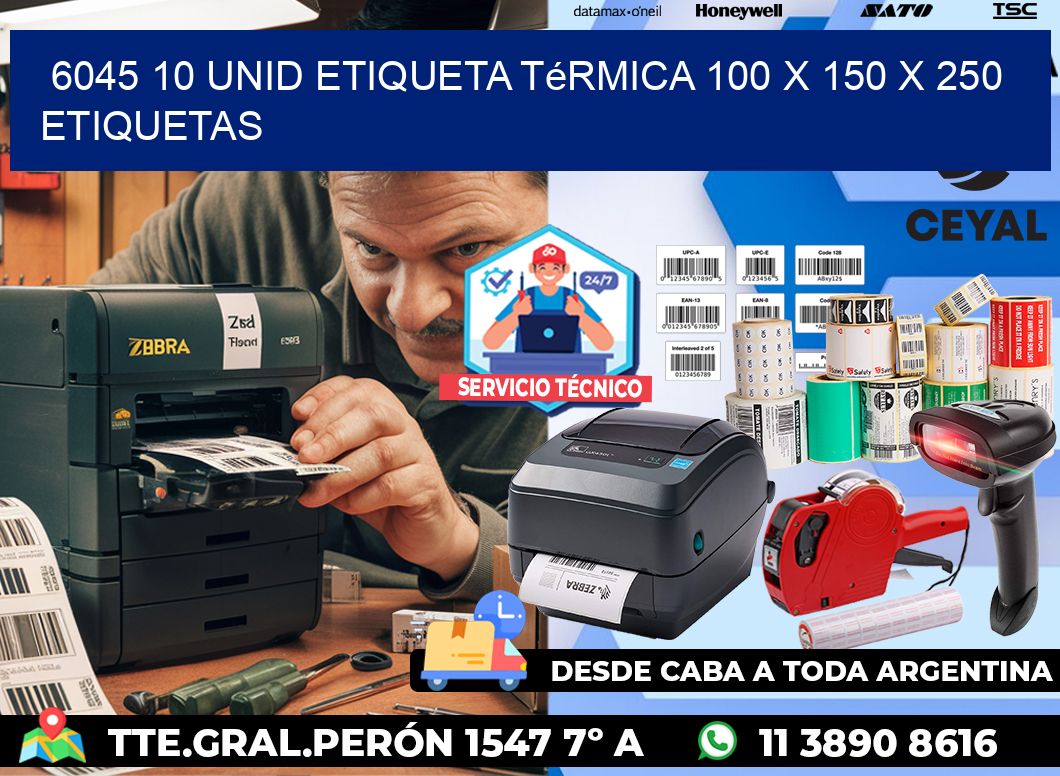 6045 10 Unid Etiqueta Térmica 100 x 150 x 250 etiquetas