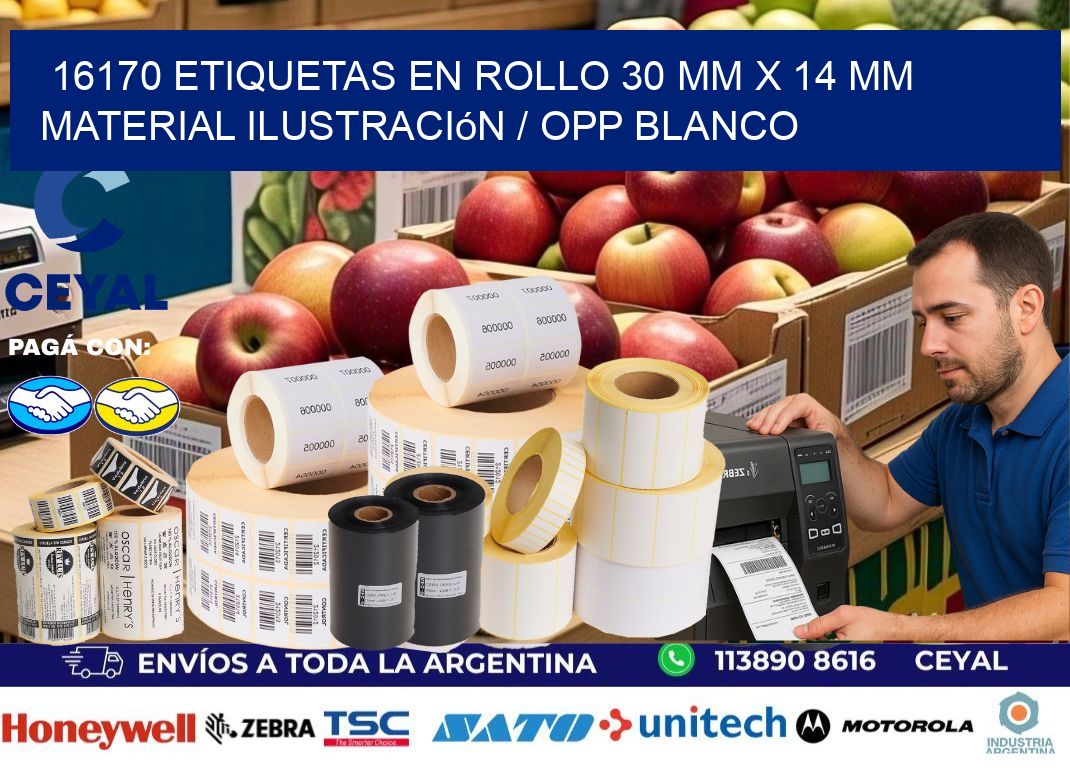 16170 Etiquetas en rollo 30 mm x 14 mm material Ilustración / OPP Blanco