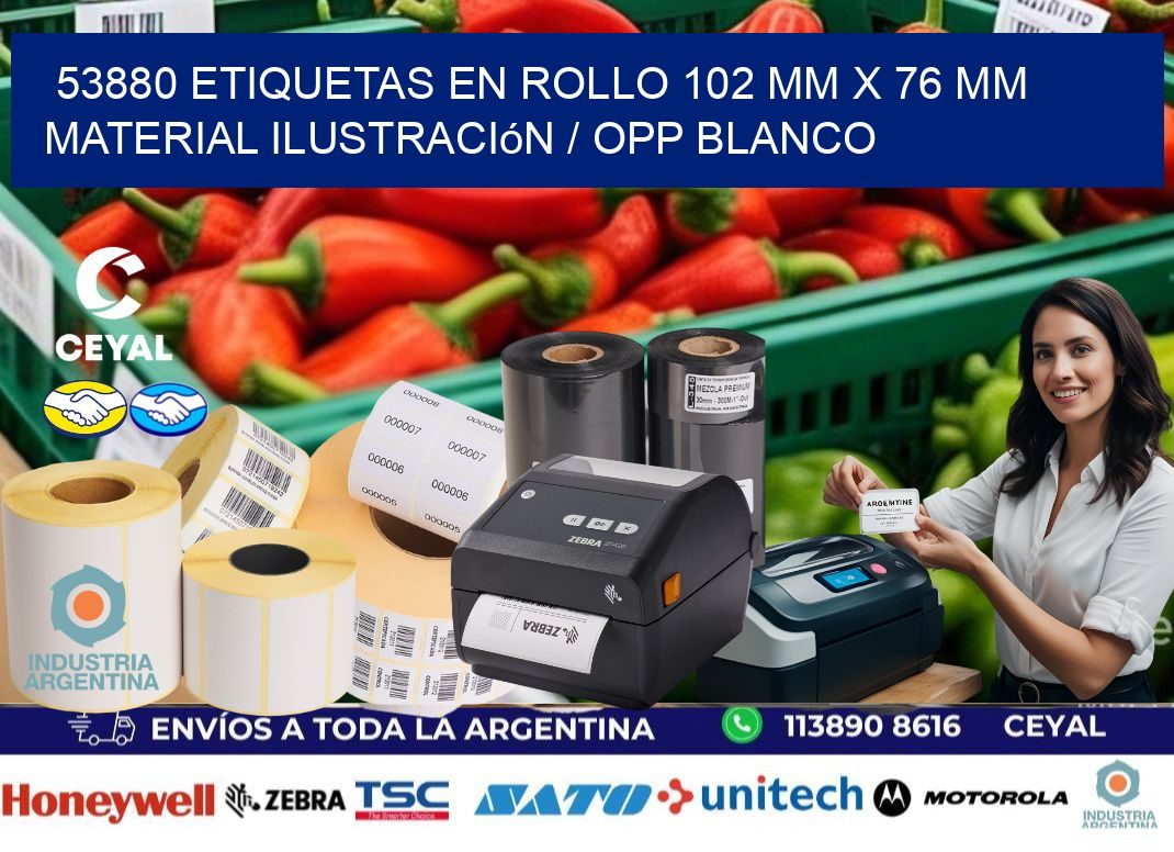 53880 Etiquetas en rollo 102 mm x 76 mm material Ilustración / OPP Blanco