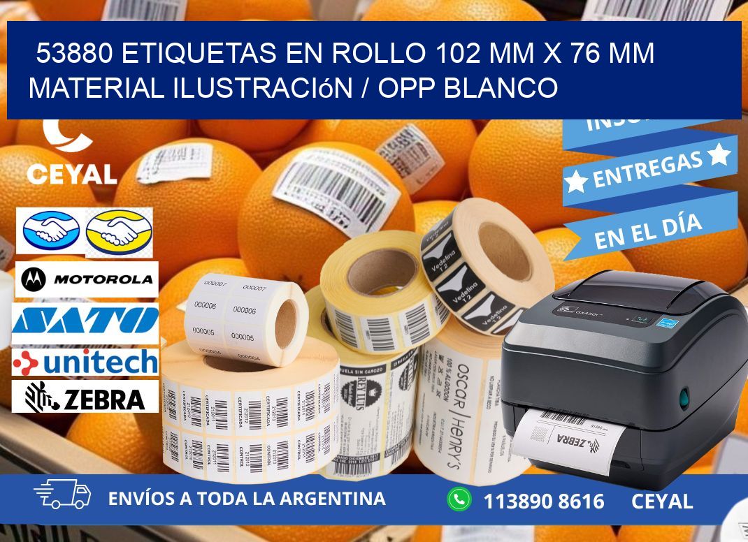 53880 Etiquetas en rollo 102 mm x 76 mm material Ilustración / OPP Blanco