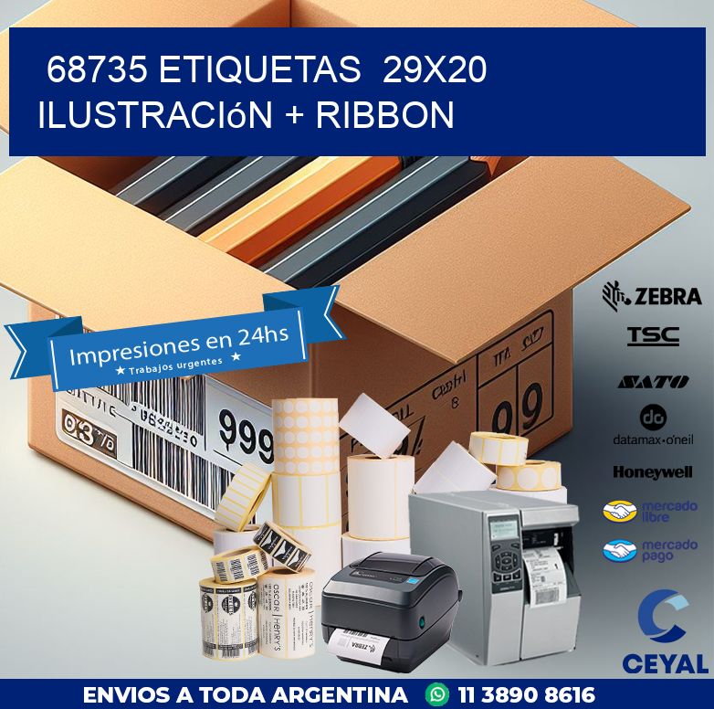 68735 etiquetas  29x20 ilustración + ribbon