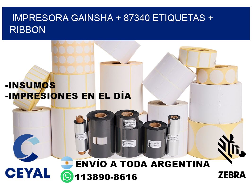 impresora gainsha + 87340 etiquetas + ribbon
