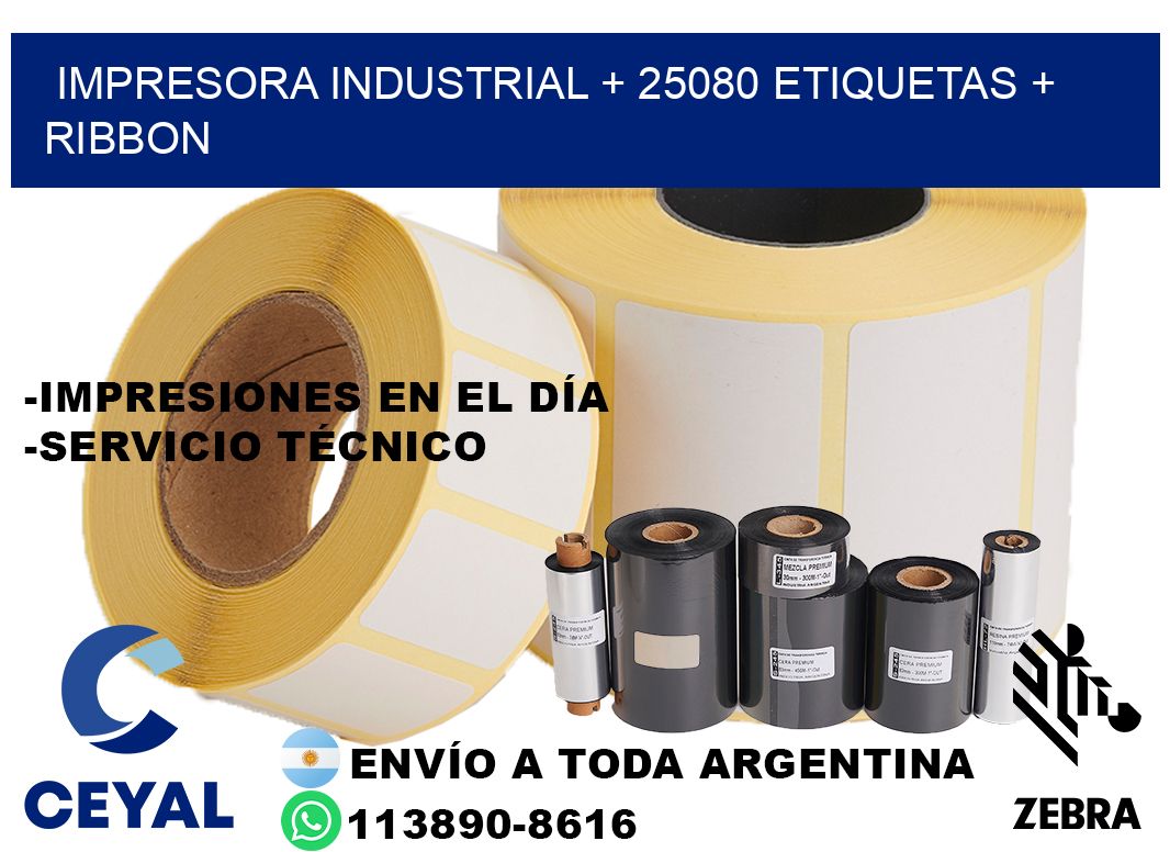 impresora industrial + 25080 etiquetas + ribbon