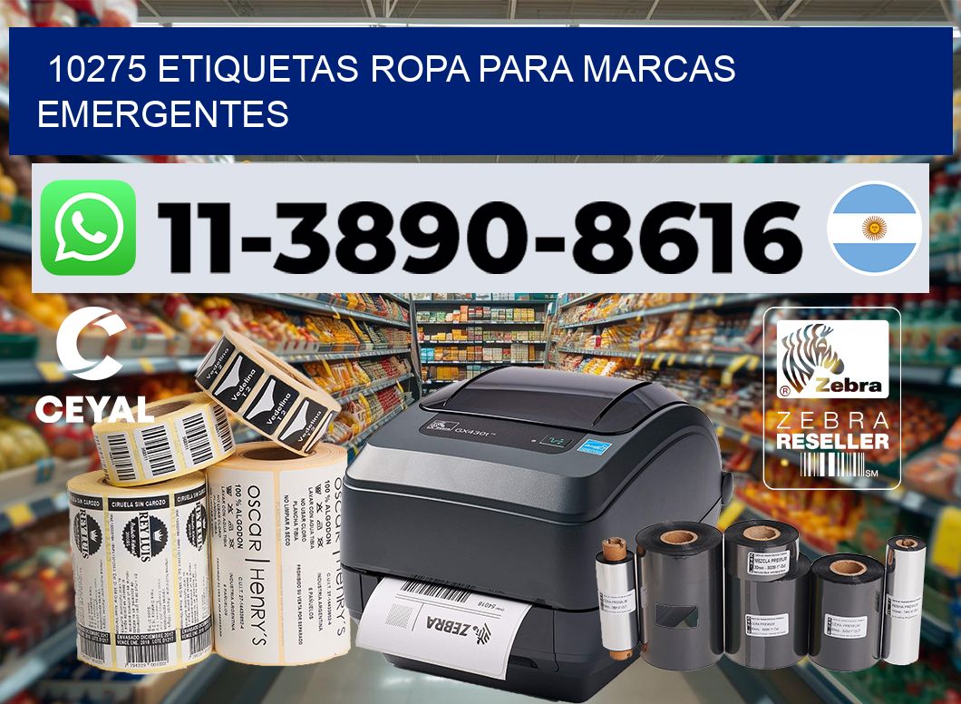 10275 Etiquetas ropa para marcas emergentes