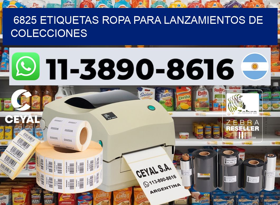 6825 Etiquetas ropa para lanzamientos de colecciones