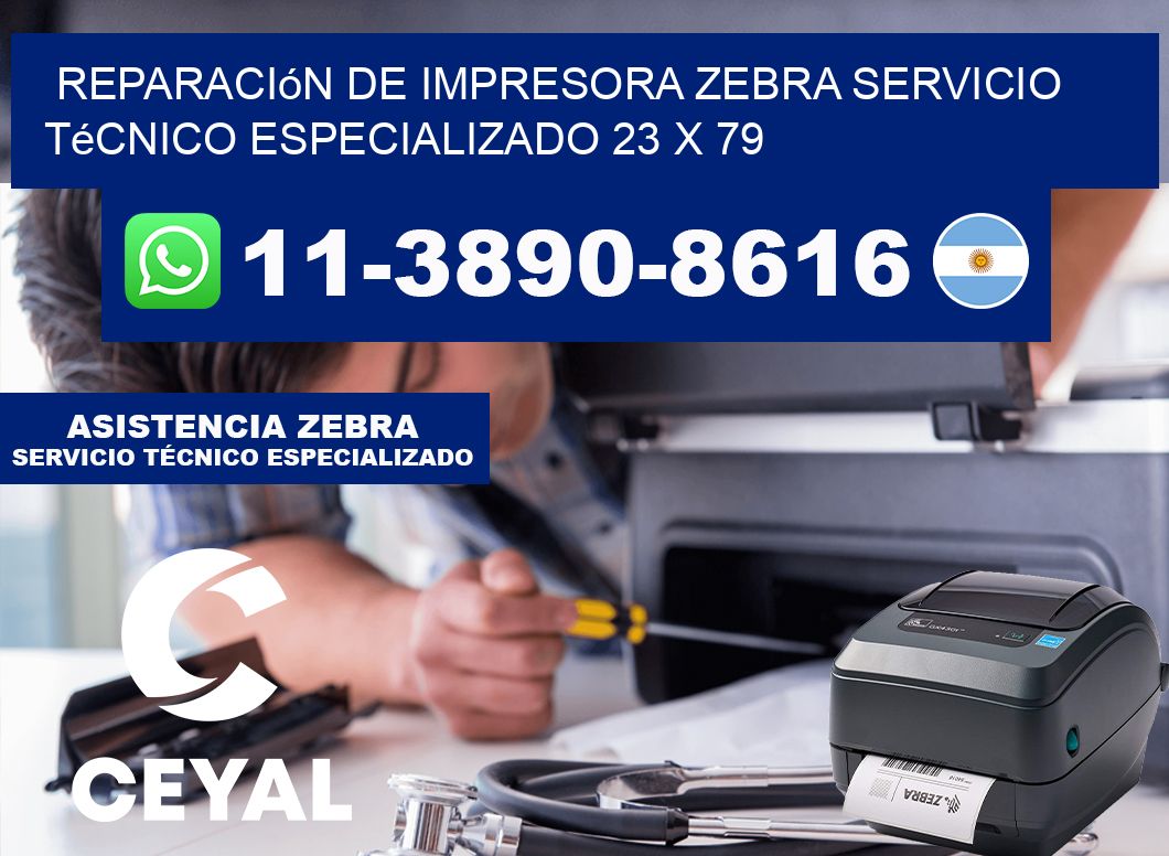 Reparación de Impresora Zebra Servicio Técnico Especializado 23 x 79