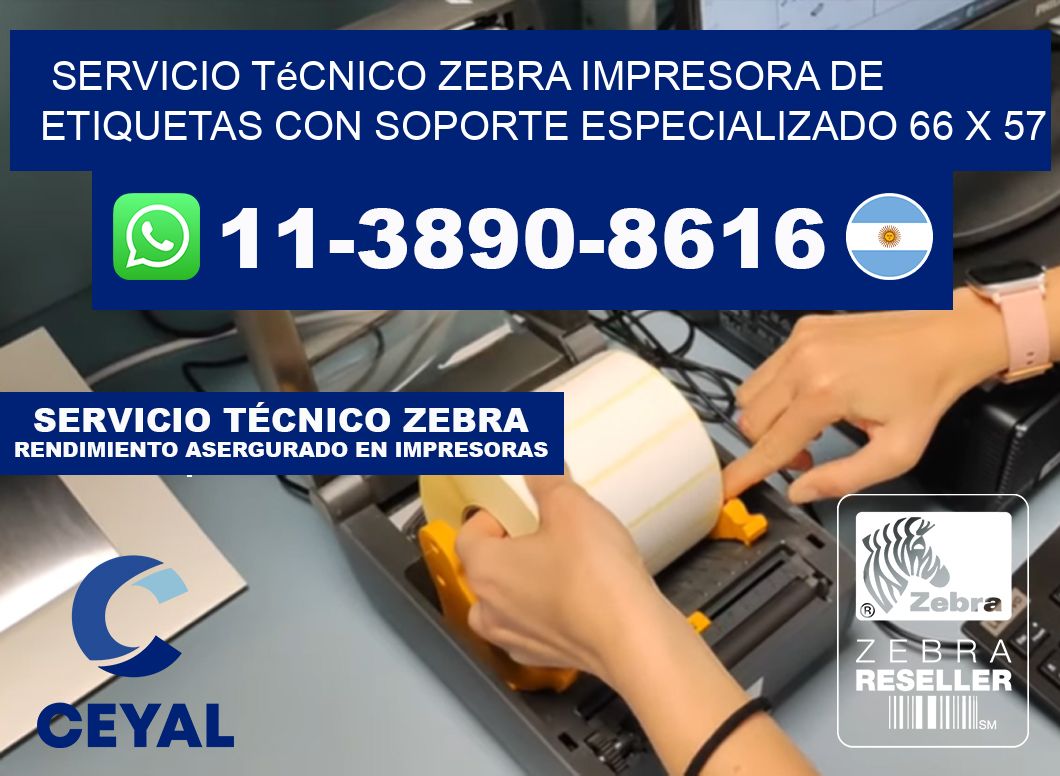 Servicio Técnico Zebra Impresora de Etiquetas con Soporte Especializado 66 x 57