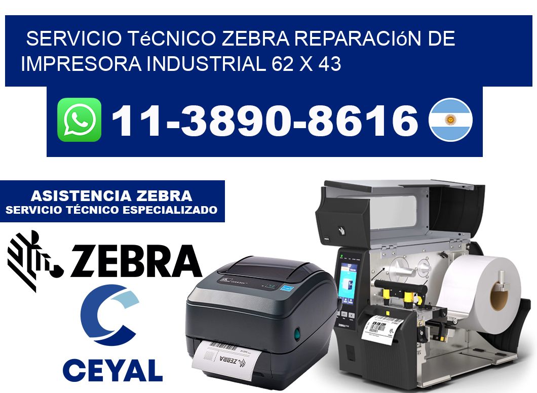 Servicio Técnico Zebra Reparación de Impresora Industrial 62 x 43