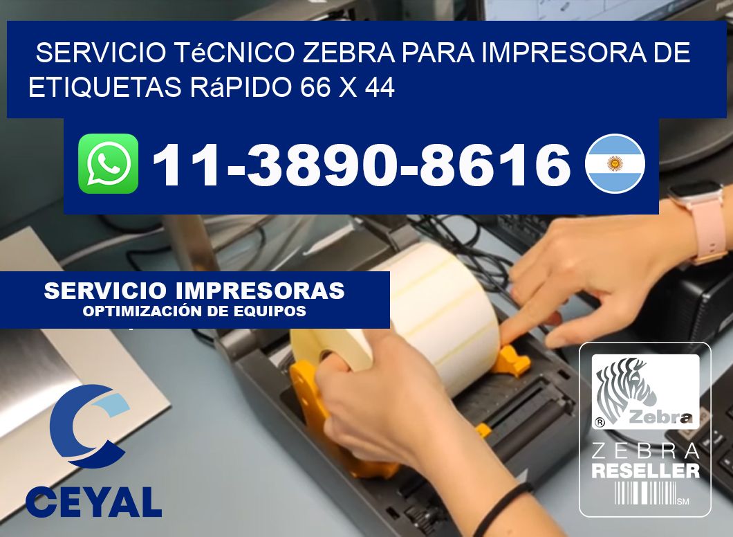 Servicio Técnico Zebra para Impresora de Etiquetas Rápido 66 x 44