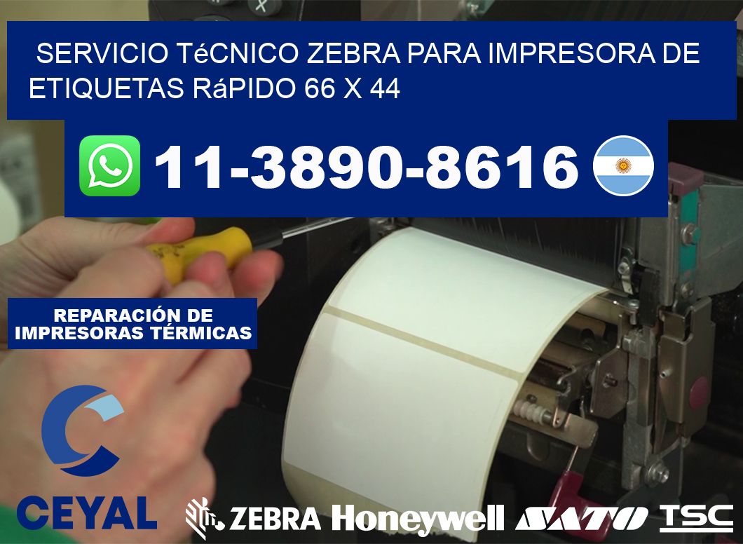 Servicio Técnico Zebra para Impresora de Etiquetas Rápido 66 x 44