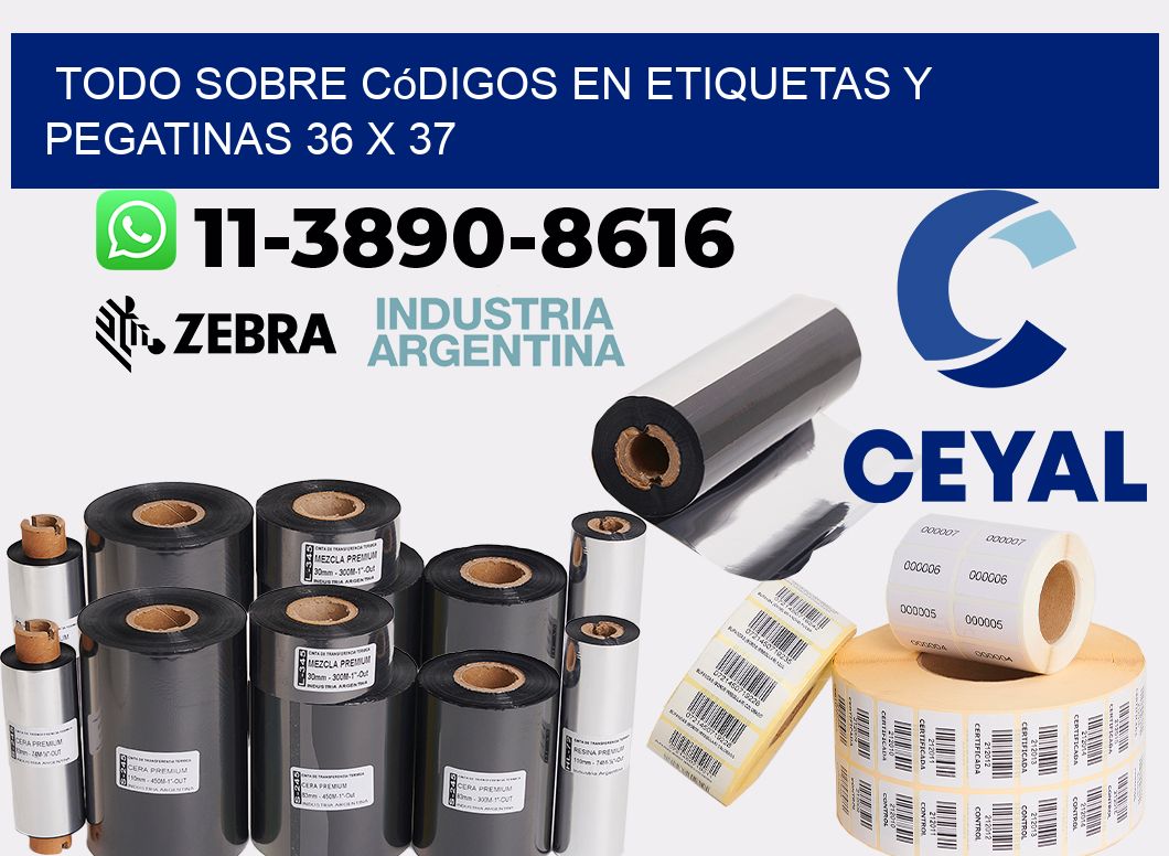 Todo sobre códigos en etiquetas y pegatinas 36 x 37