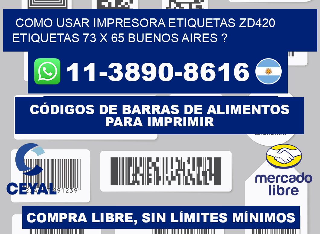 como usar impresora etiquetas zd420 etiquetas 73 x 65 Buenos Aires ?