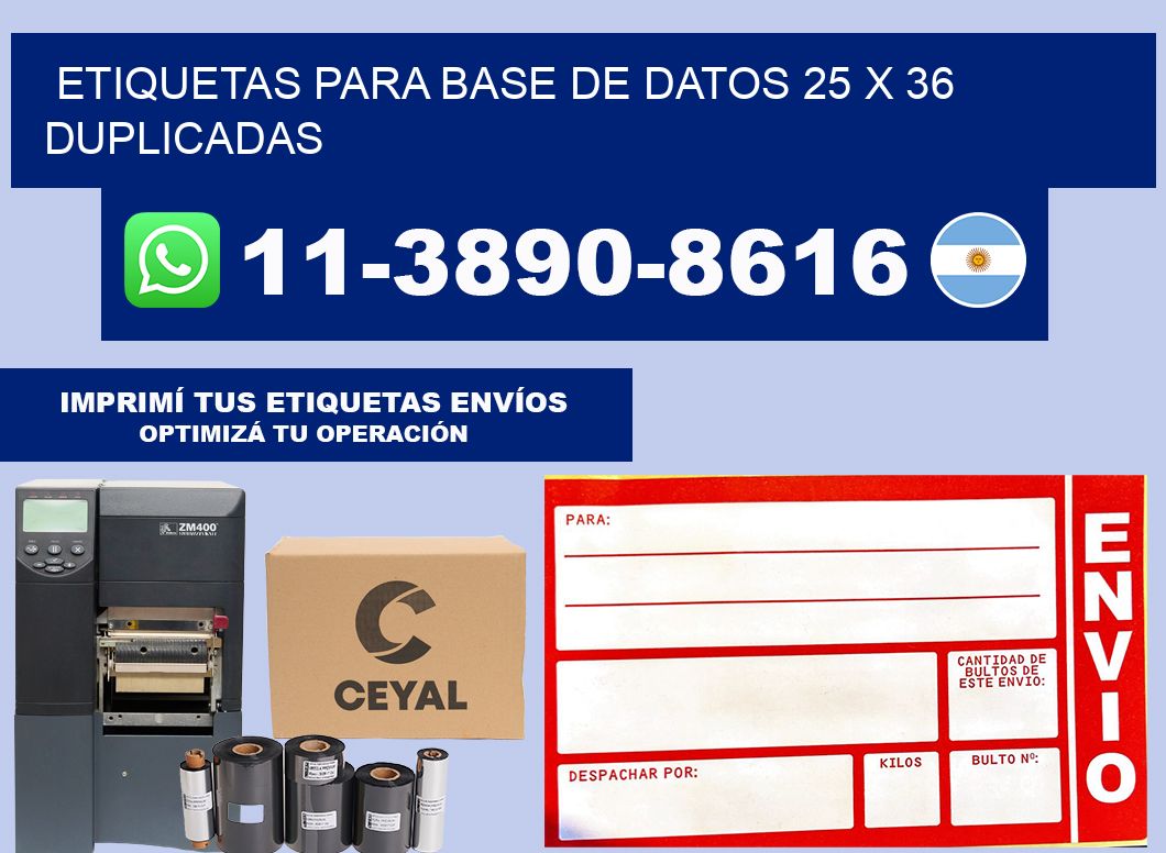 etiquetas para base de datos 25 x 36 duplicadas
