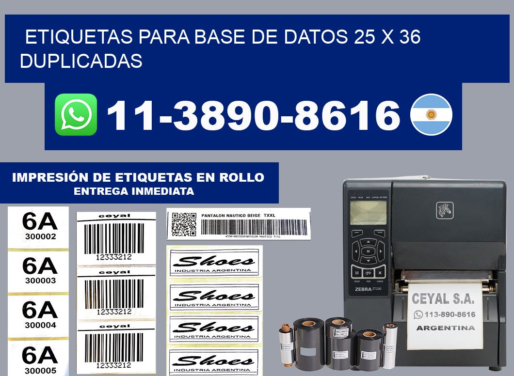 etiquetas para base de datos 25 x 36 duplicadas